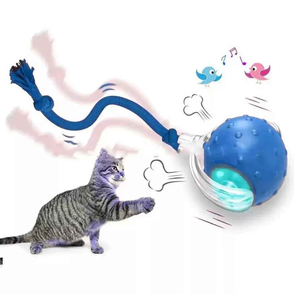 A blue textured interactive ball toy with a rope attachment being batted by a grey tabby cat.