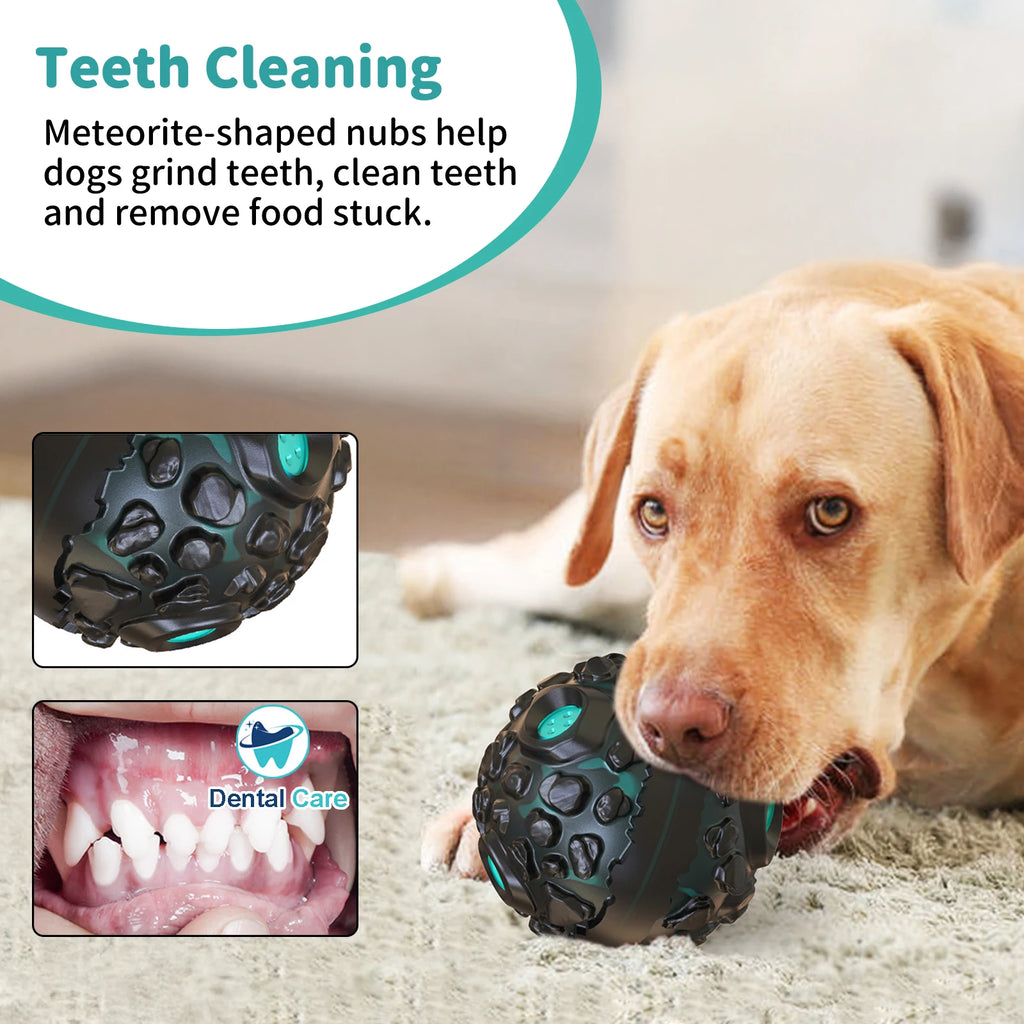 A Labrador plays with a durable, dark green, textured ball with meteorite-like nubs designed to clean dog teeth.