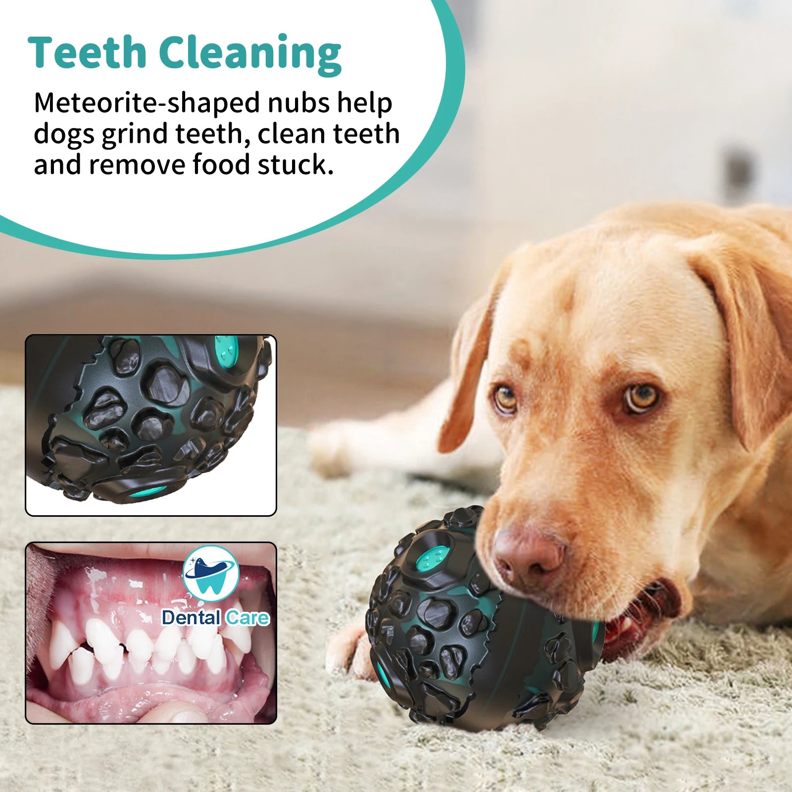 A Labrador plays with a durable, dark green, textured ball with meteorite-like nubs designed to clean dog teeth.