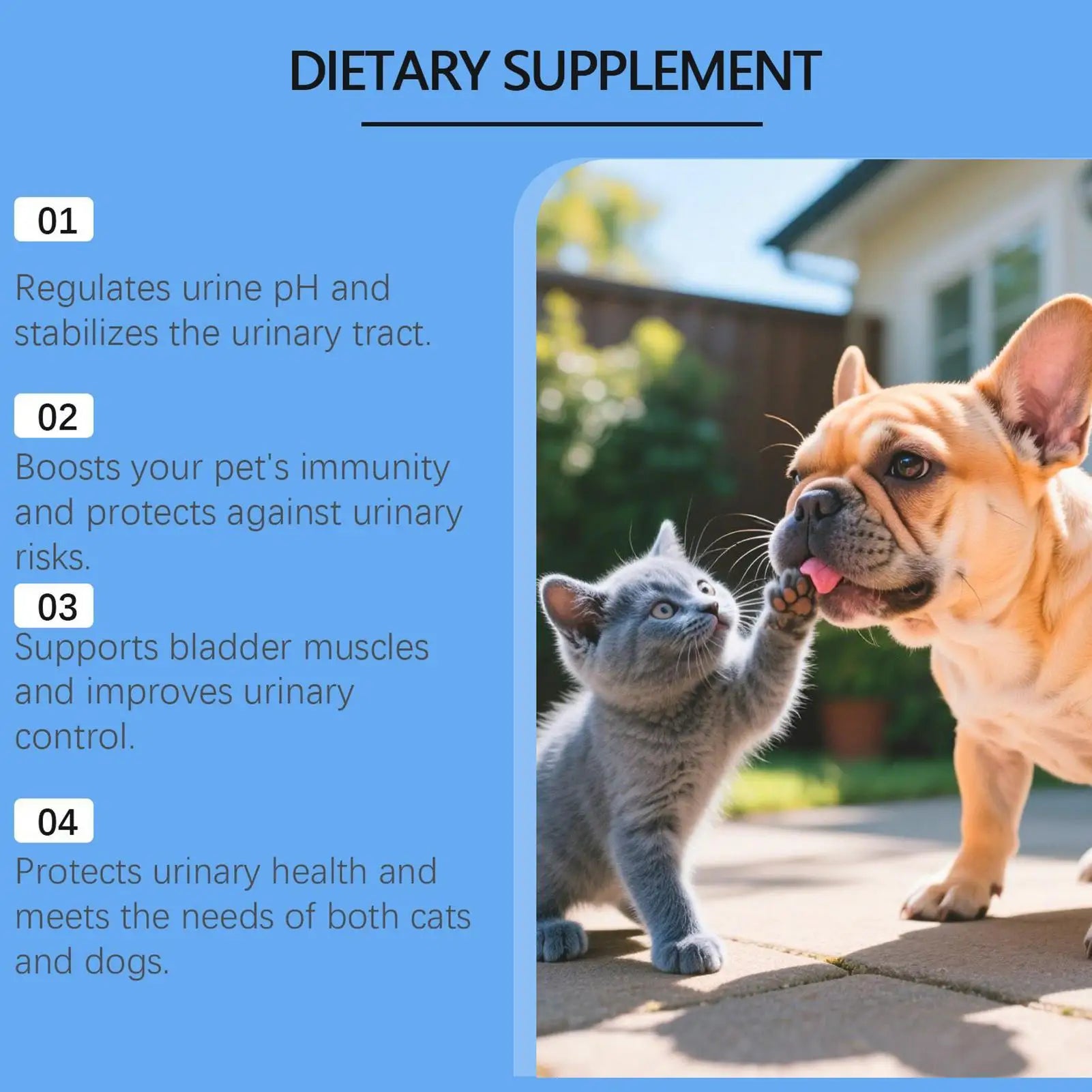 Infographic for a pet urinary health supplement featuring a cat and dog, listing benefits for bladder and immune health.