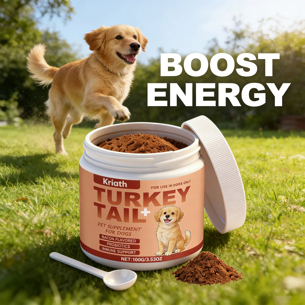 Bacon-flavoured dog supplement powder for immune support in a white jar with a scoop on a grassy lawn background.