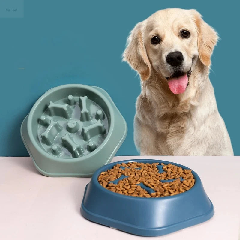 Sage green and blue slow feeder dog bowls with bone-shaped interior patterns, shown with a happy golden retriever.