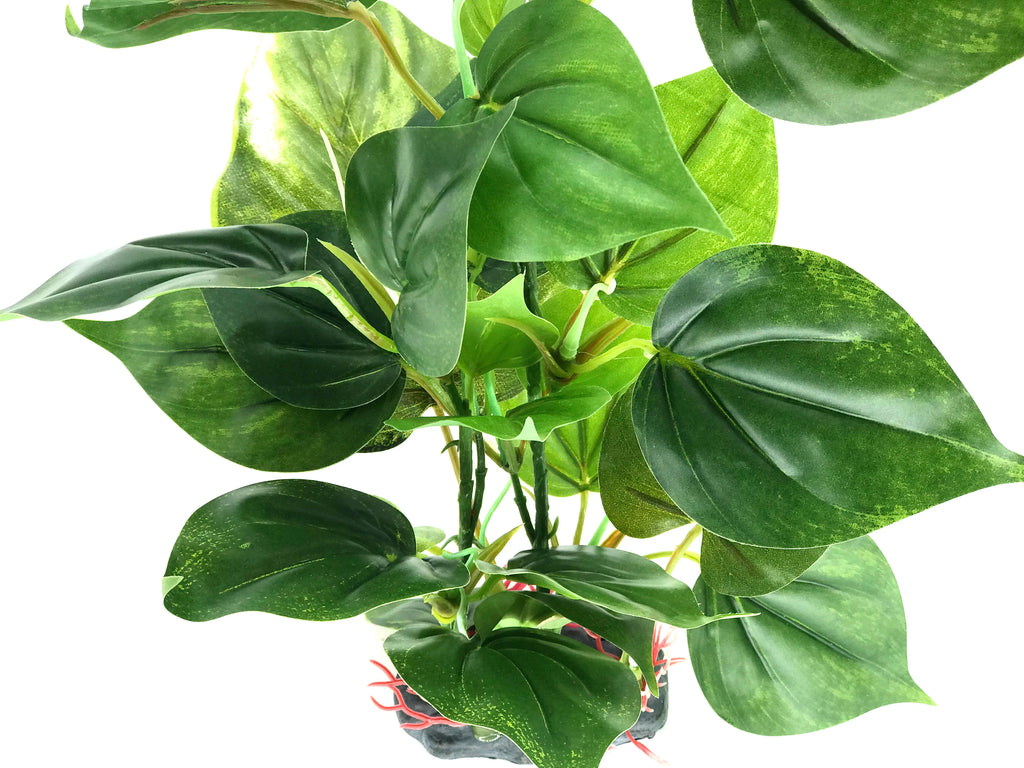 Artificial aquarium plant with large, heart-shaped green leaves and a dark base against a white background.