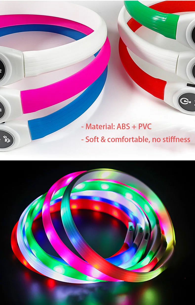 Bright, waterproof LED dog collars in various colours, shown both off and glowing in the dark for night-time visibility.