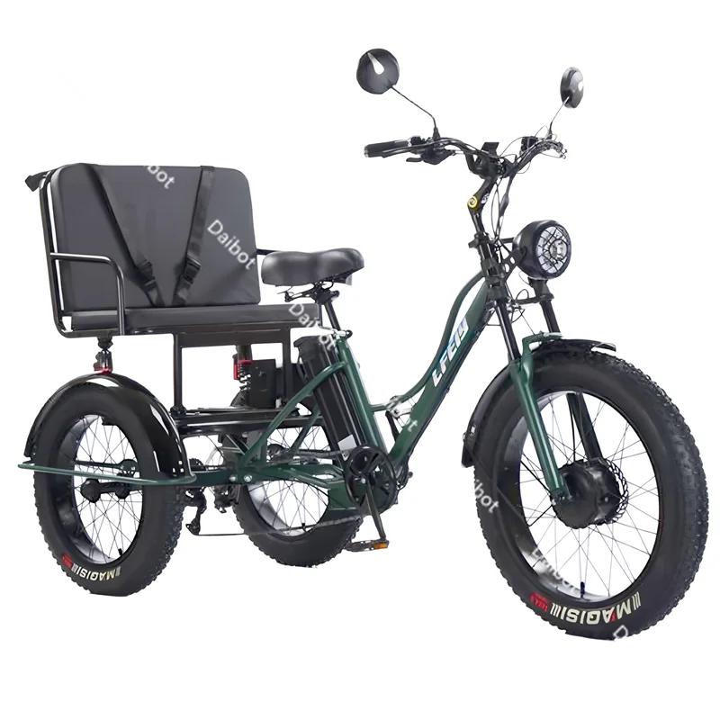 750W Fatbike Electric Bicycle 48V High Power With Passenger Seat