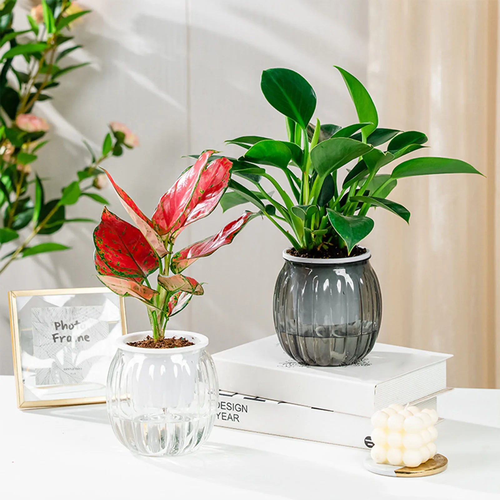 Two ribbed self-watering planters holding green and red-variegated plants on a white surface with books and a candle.