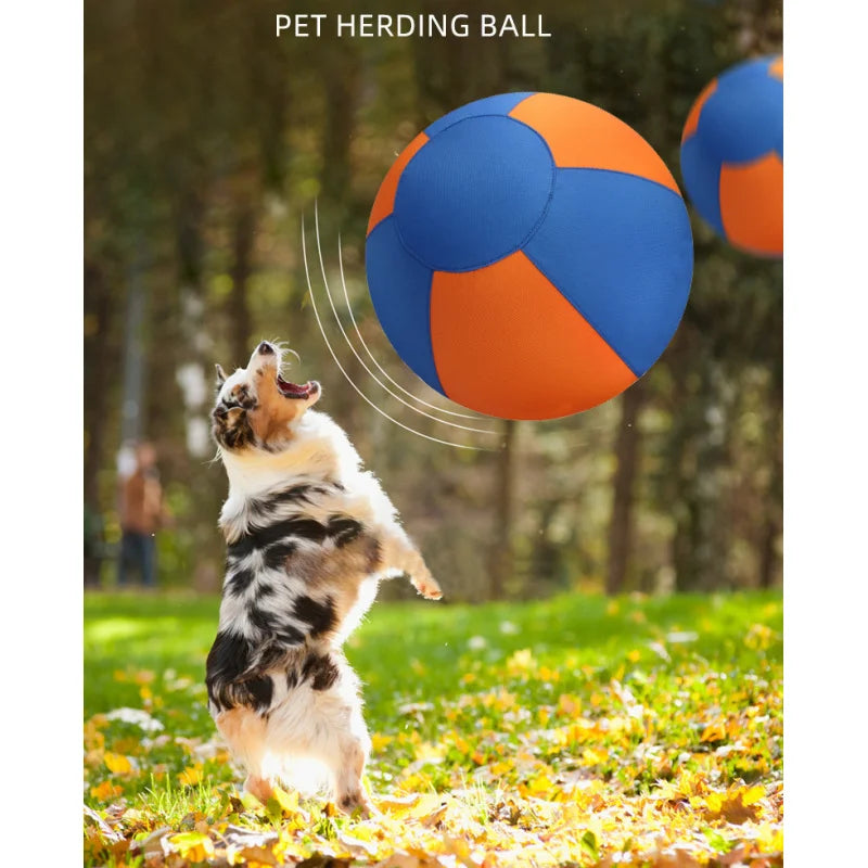 A dog jumping to catch a blue and orange fabric-covered interactive training ball in a park.