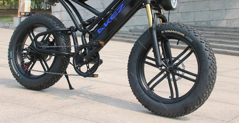 Powerful Electric bike 750W 48V Fat Tire bike