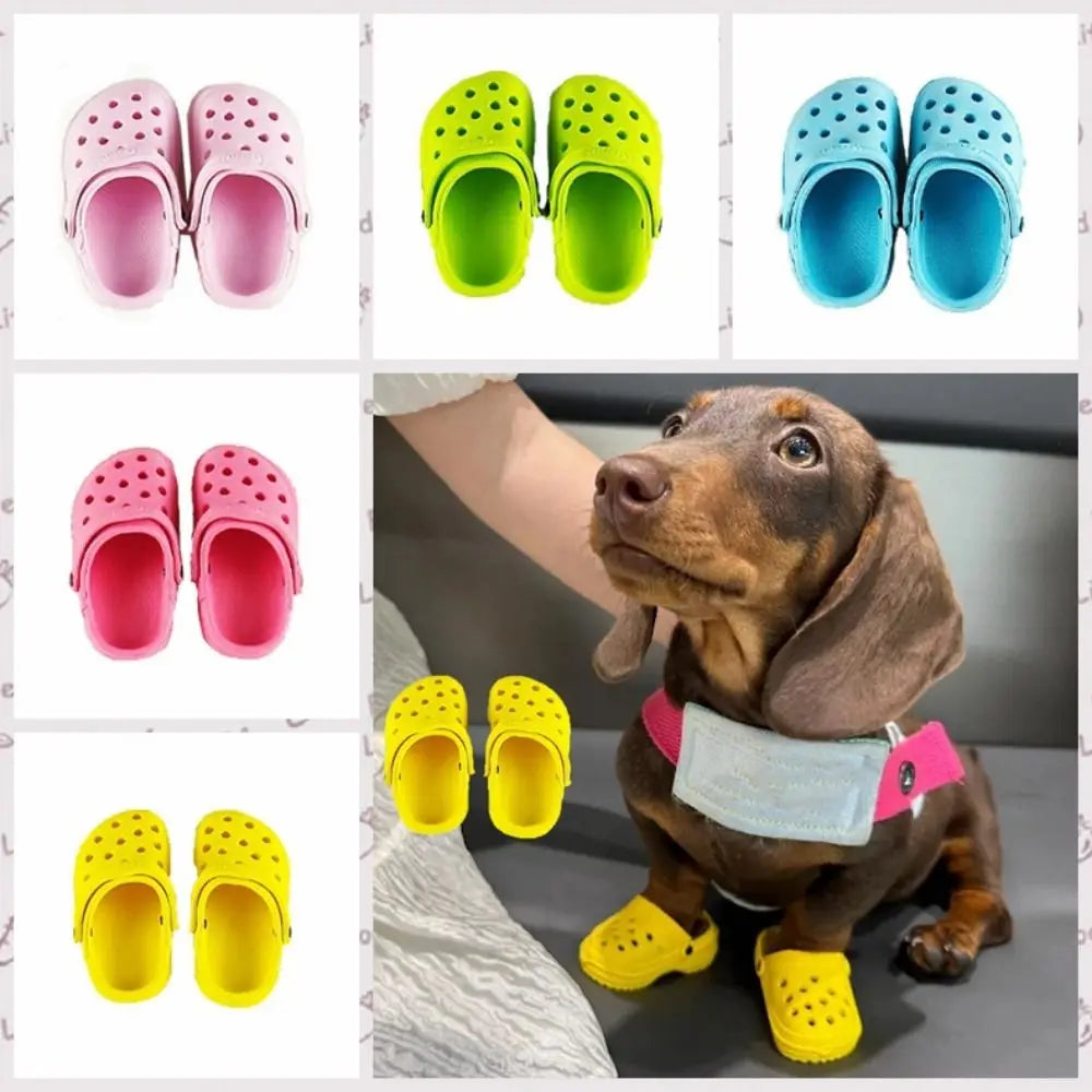 A collection of colourful, perforated, non-slip sandals for pets, shown in various shades alongside a dachshund.