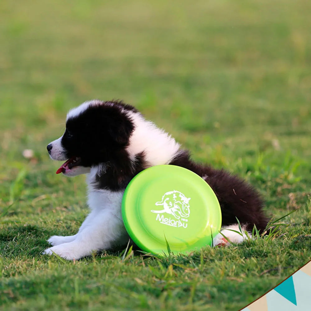 A black and white puppy resting on grass next to a vibrant lime green, durable dog fetch flying disc.