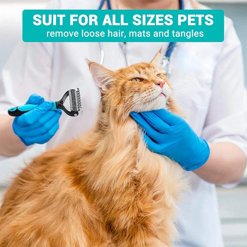 A person in blue gloves uses a black and blue de-shedding rake tool to groom a fluffy orange cat.