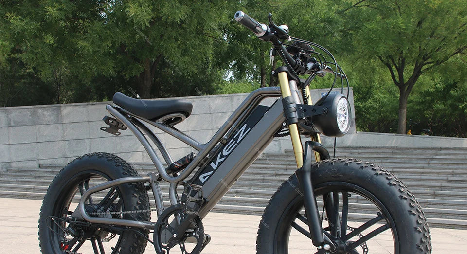 Powerful Electric bike 750W 48V Fat Tire bike