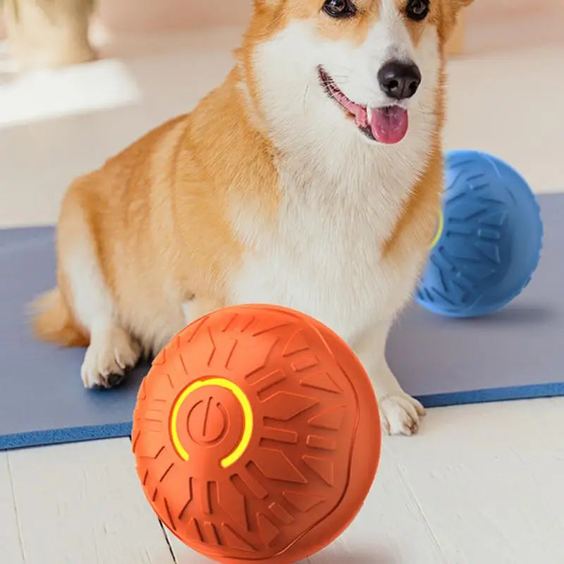 A Corgi sitting behind a textured orange interactive dog ball toy with a glowing yellow power button.
