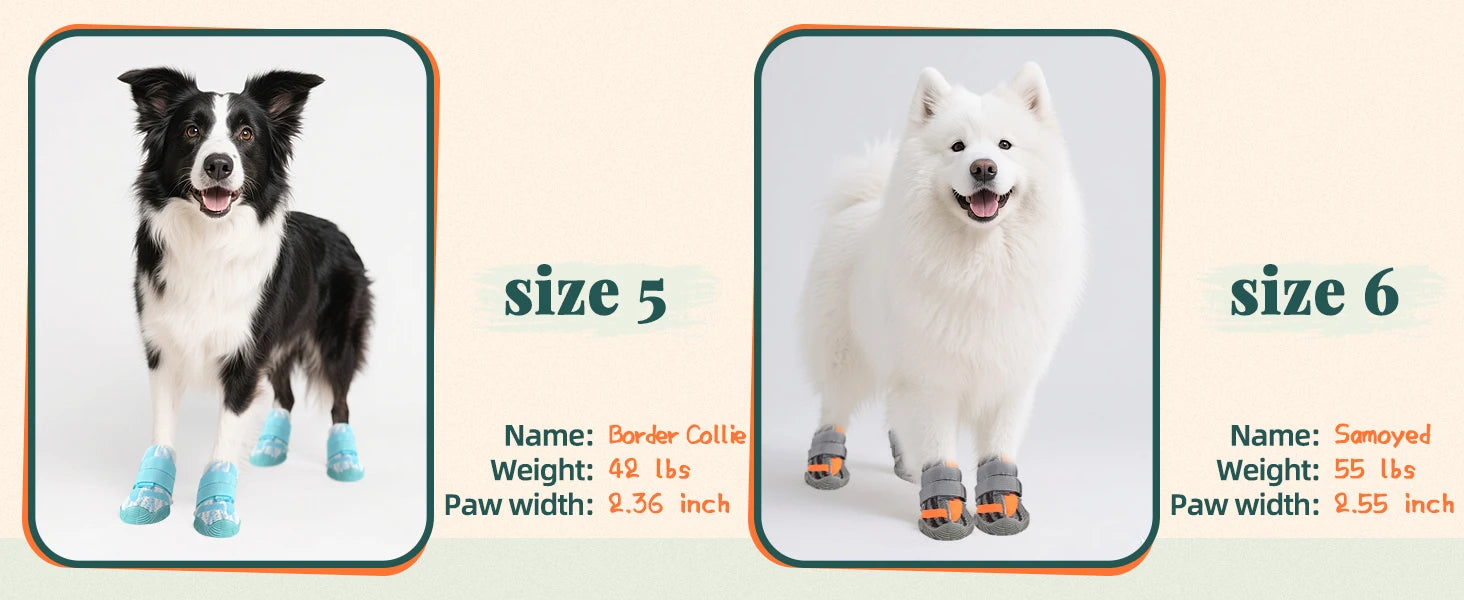 Two dogs wearing breathable, non-slip boots with rugged rubber soles, shown in size 5 (light blue) and size 6 (grey).