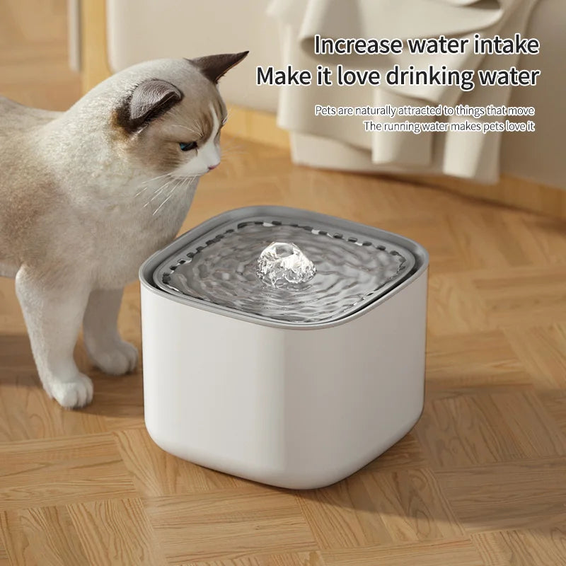 A cat standing beside a modern, square, white pet water fountain with a bubbling top.