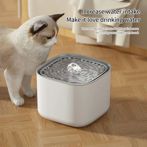 A cat standing beside a modern, square, white pet water fountain with a bubbling top.