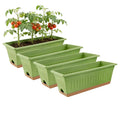 Four sage-green rectangular planters with tan trays, one filled with cherry tomato plants on a white background.