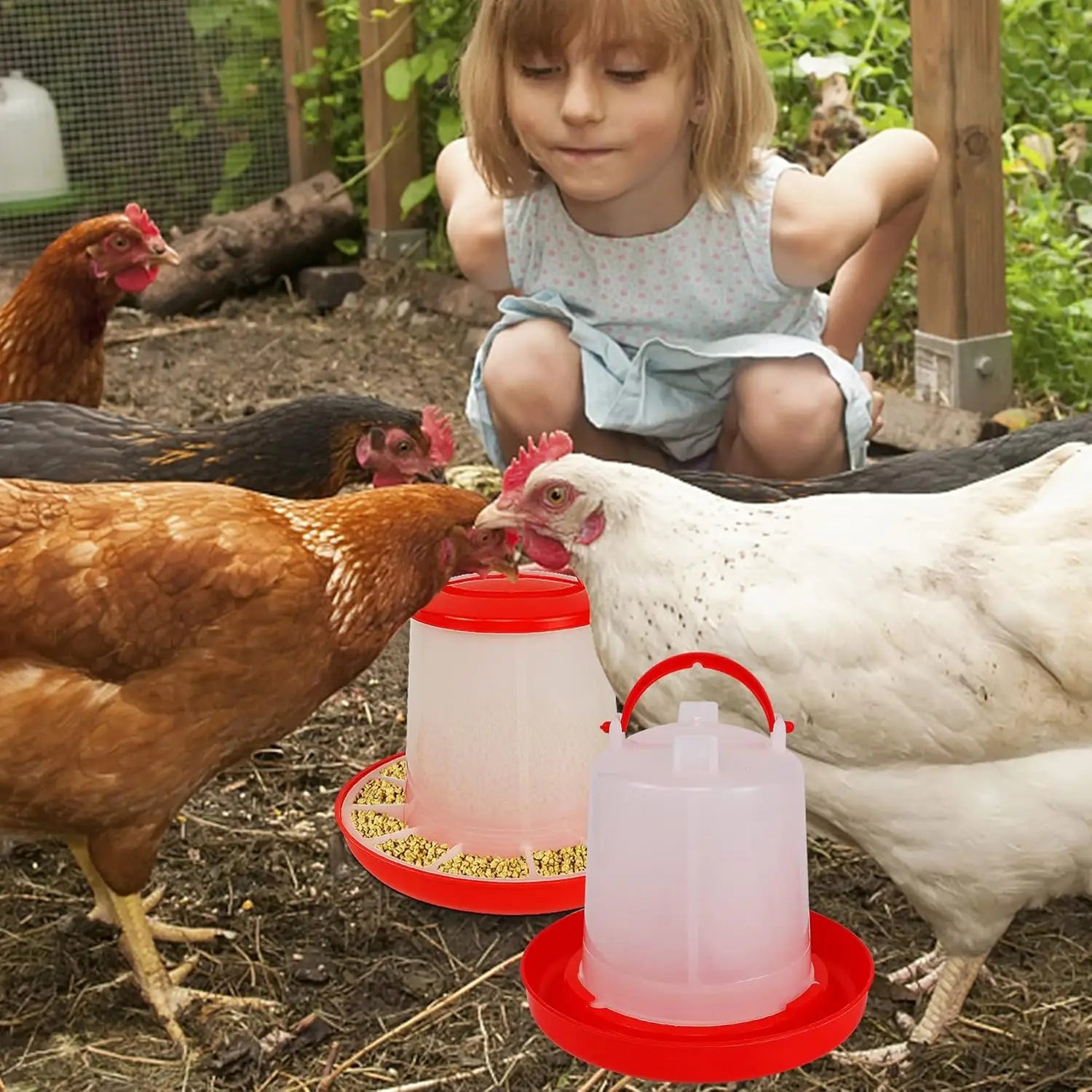 Two red and translucent plastic poultry feeders with top handles, placed on soil among chickens and a child.