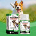 Bottle and box of glucosamine hip and joint chews for dogs, chicken flavoured, 80 tablets, green and white packaging.