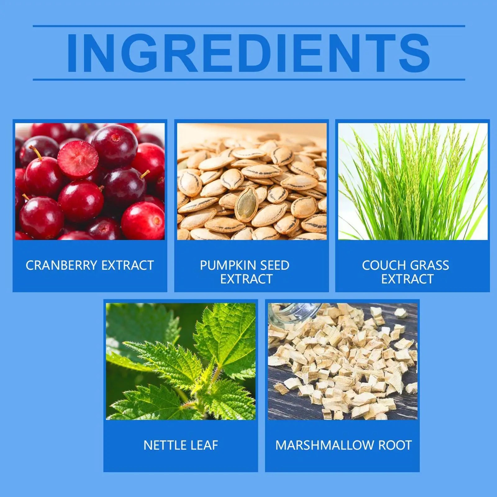 Graphic showing five natural ingredients: cranberries, pumpkin seeds, couch grass, nettle leaf, and marshmallow root.