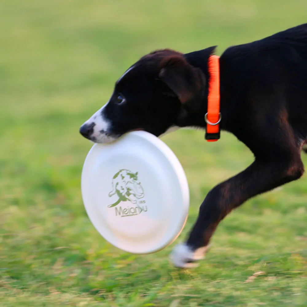A black and white dog running on grass, carrying a durable white flying disc pet fetch toy in its mouth.