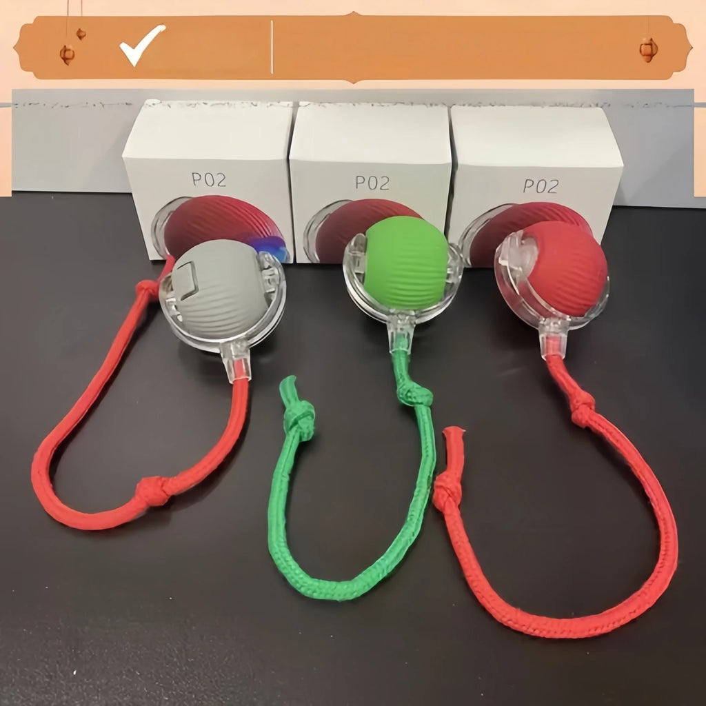 Three interactive dog balls in grey, green, and red, each with a secure rope tether and protective clear housing.