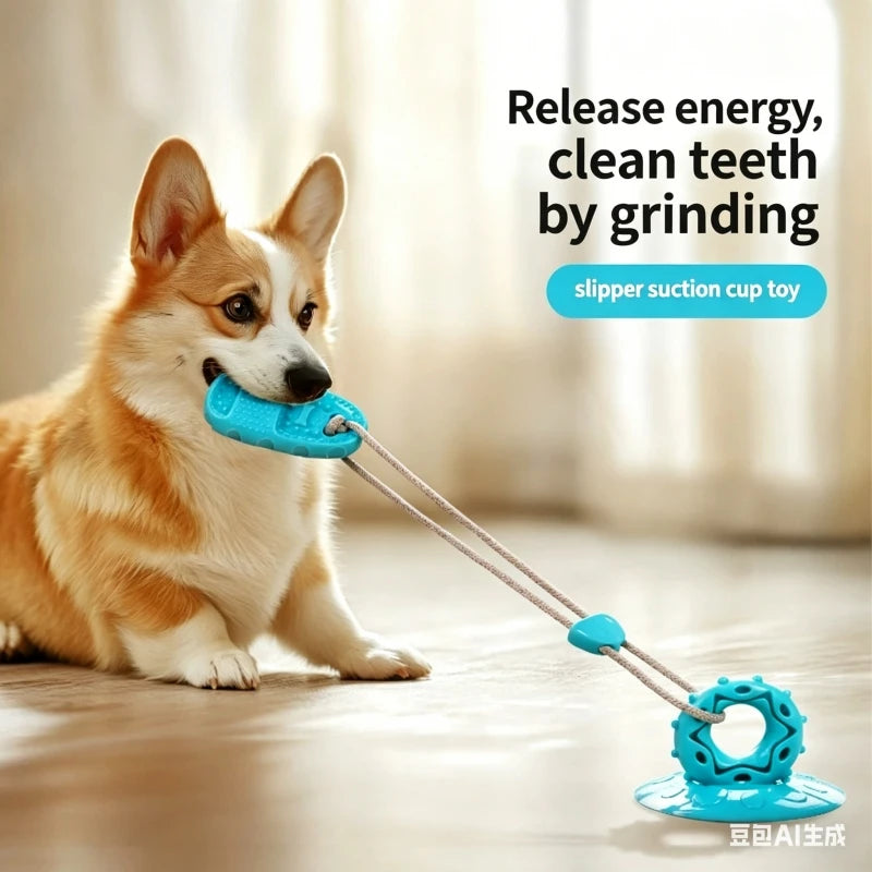 A Corgi dog playing with a blue, textured suction cup dog toy connected by a rope to a chewable rubber ring.