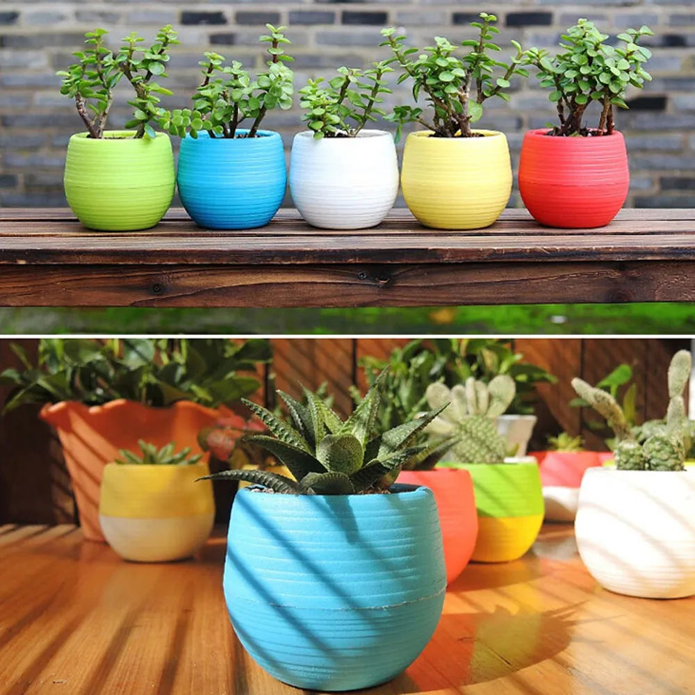 Five colorful, mini round ribbed plastic pots with small green plants arranged on a wooden surface.