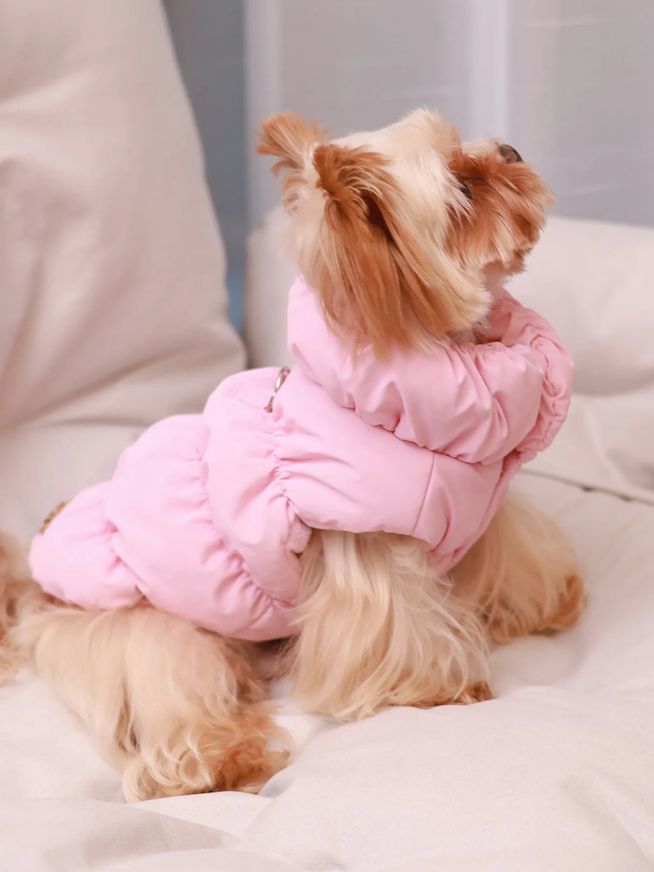 Small fluffy dog wearing a cosy, light pink quilted winter jacket with a high collar, sitting on a white surface.
