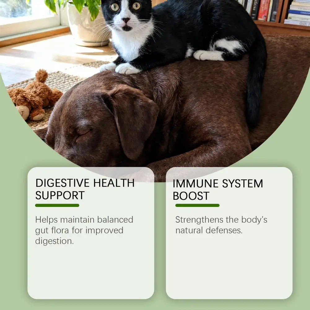 A black and white cat sits on a brown dog. Text highlights digestive health and immune system support benefits.